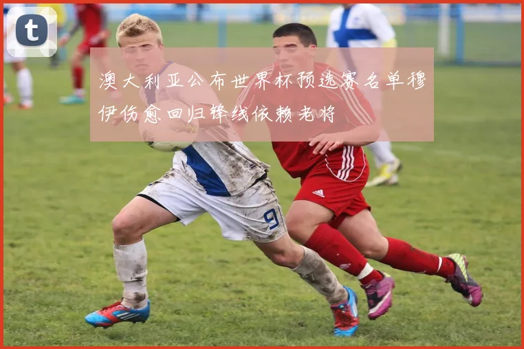 澳大利亚公布世界杯预选赛名单穆伊伤愈回归锋线依赖老将