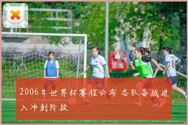 2006年世界杯赛程公布 各队备战进入冲刺阶段