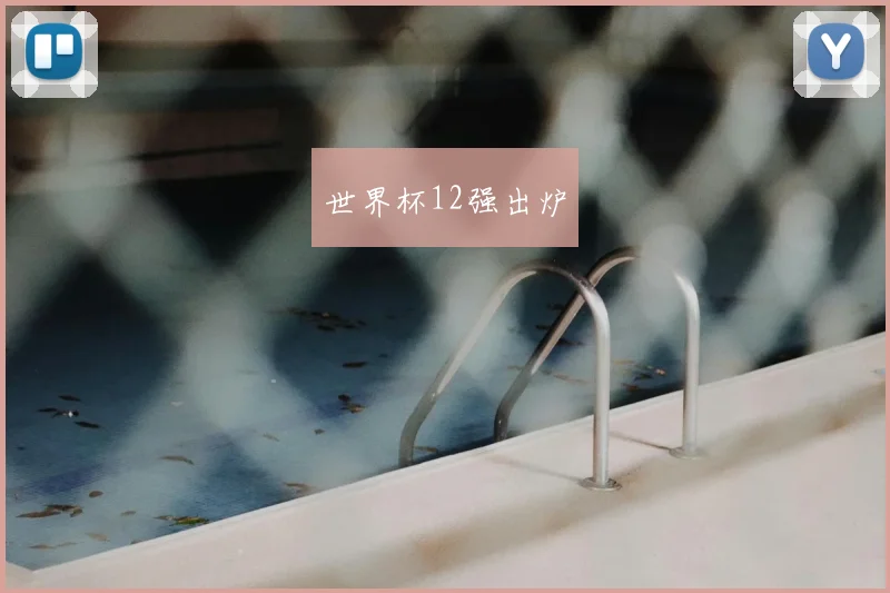 世界杯12强出炉