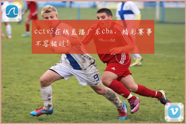 cctv5在线直播广东cba，精彩赛事不容错过！