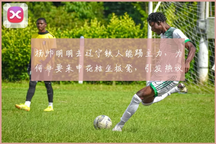 杨帅明明去辽宁铁人能踢主力，为何非要来申花枯坐板凳，引发热议