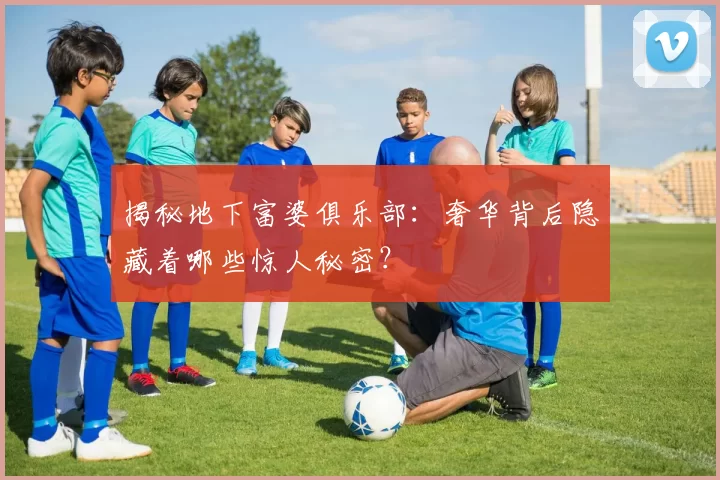 揭秘地下富婆俱乐部：奢华背后隐藏着哪些惊人秘密？