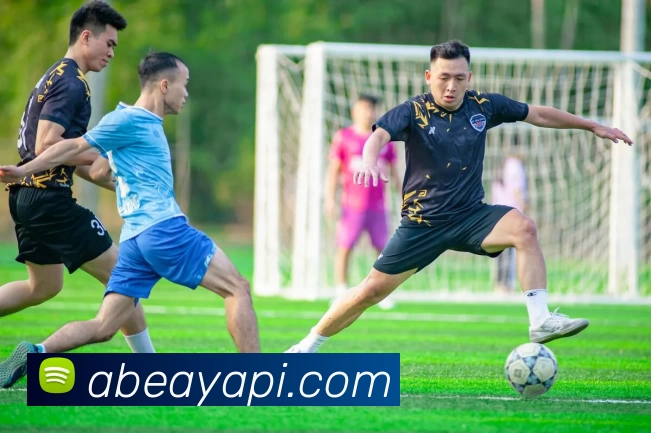 乐鱼体育官方登录服务体系